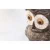 Owl of Athena - MYC053COD2022